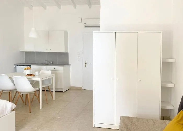 Palm Yellow * פורטו הלי