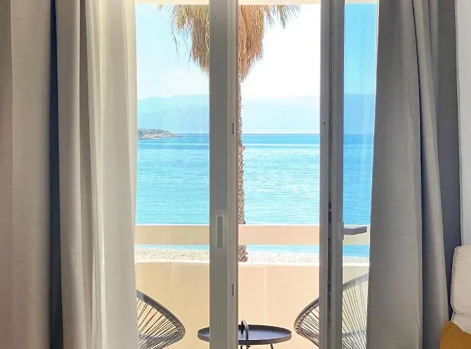 Palm Yellow פורטו הלי